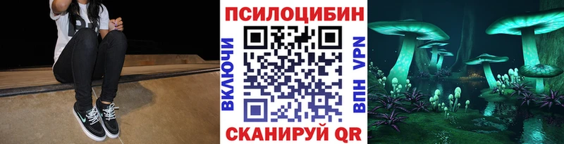 Галлюциногенные грибы MAGIC MUSHROOMS закладки Котельниково